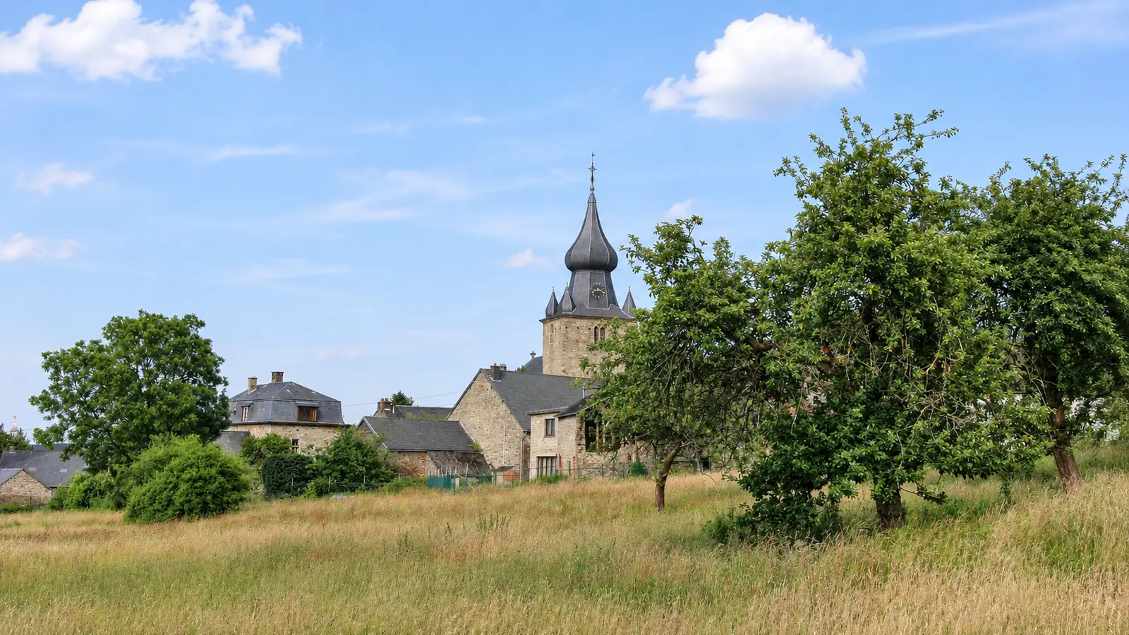 Église de Lierneux et maisons en pierre dans un paysage rural verdoyant