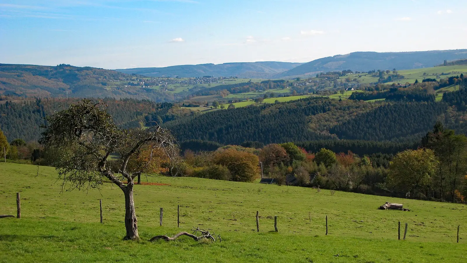 Paysage verdoyant et collines de Lorcé dans la commune de Stoumont