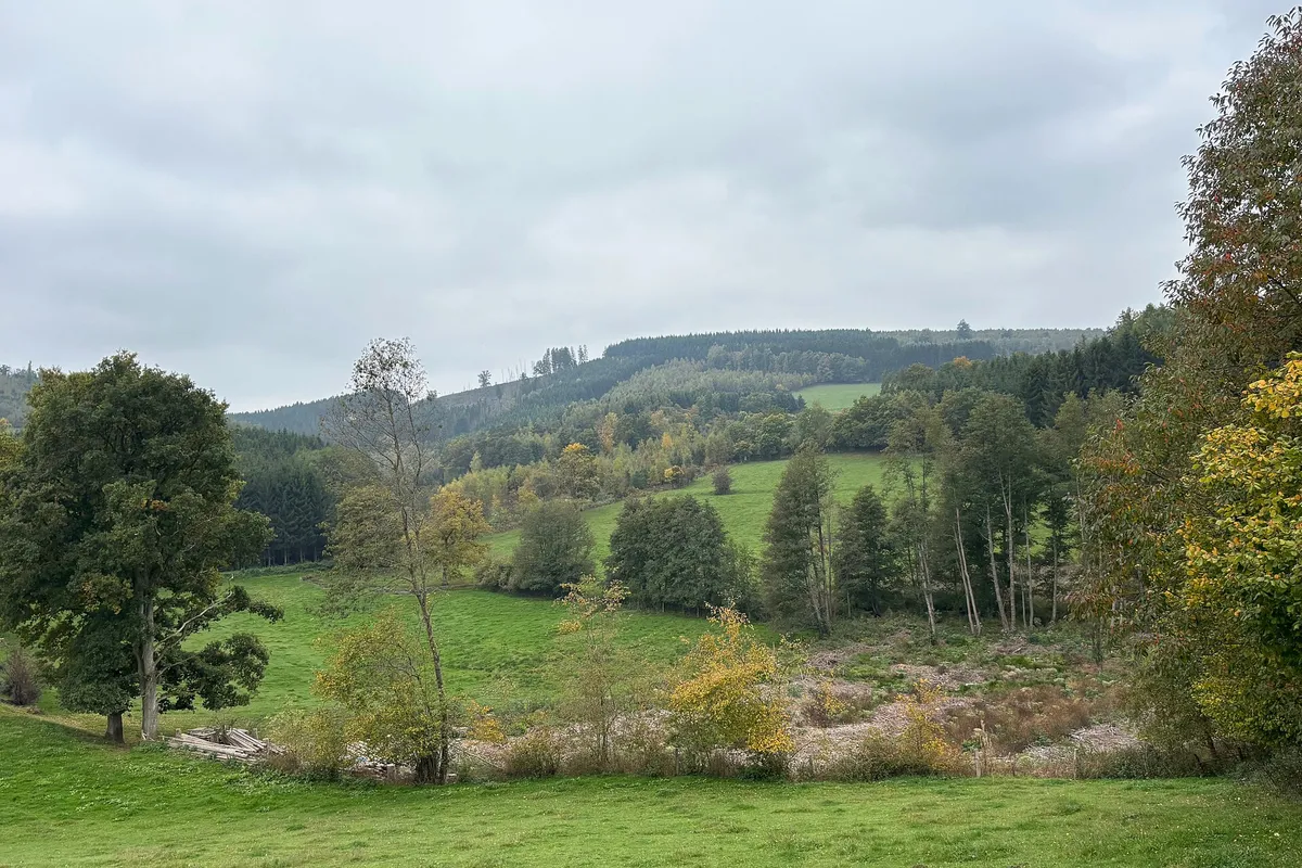 Paysage de la réserve naturelle du Colanhan à Lierneux